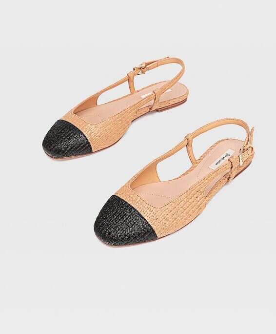 סטרדיווריוס // צילוום: יח"צ